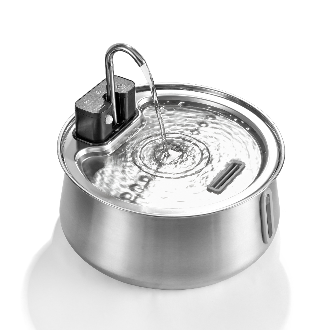 Refurbished The KittySpout - Wireless Fountain (Spout) - 6 Month: Wireless KittySpout + 8 filter sets + free gift