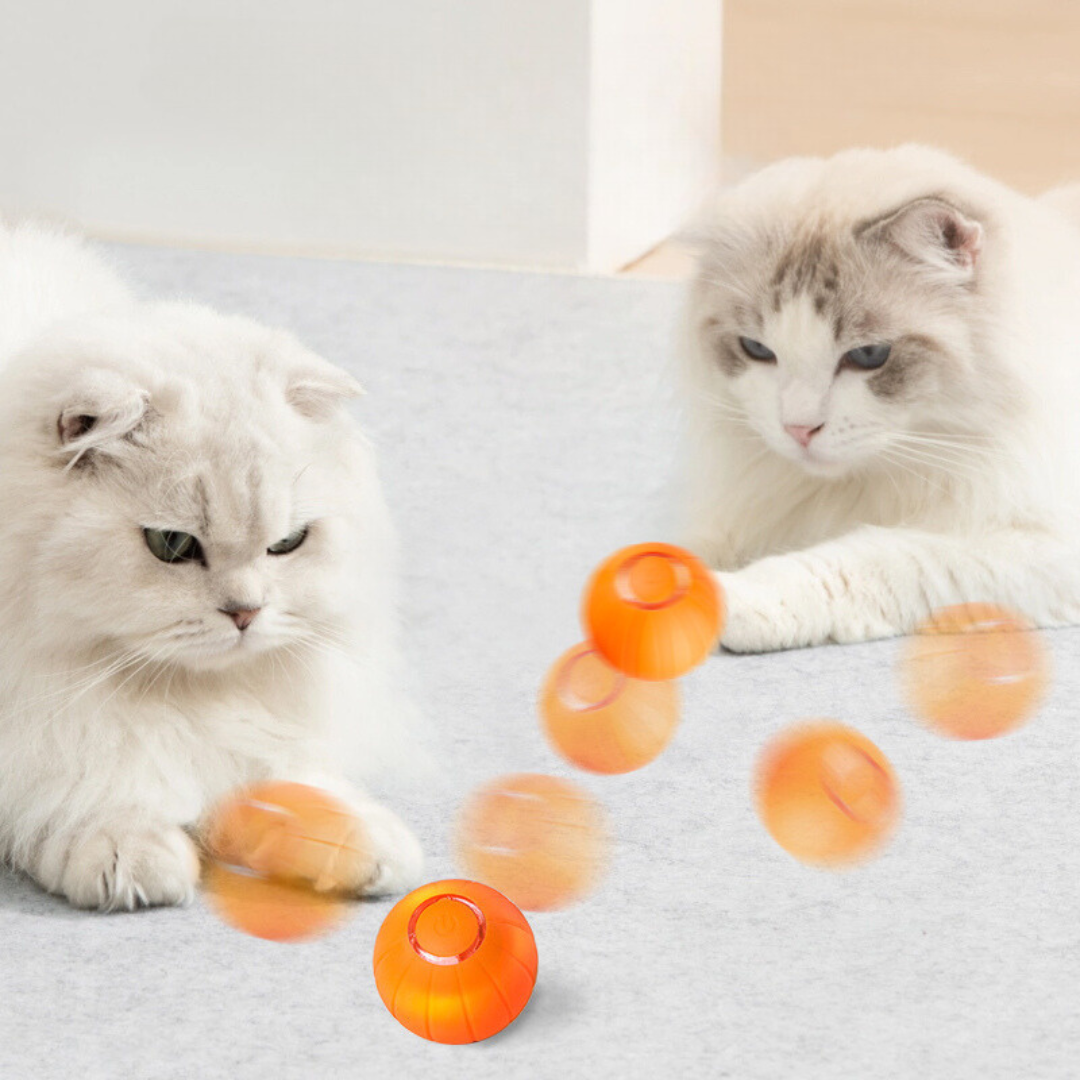 La KittyBall™: pelota inteligente para gatos