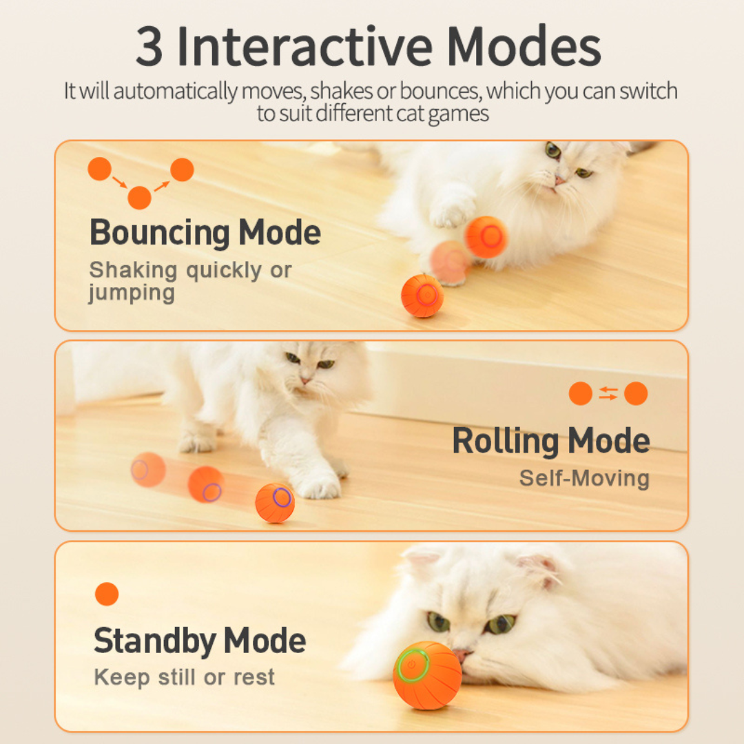La KittyBall™: pelota inteligente para gatos