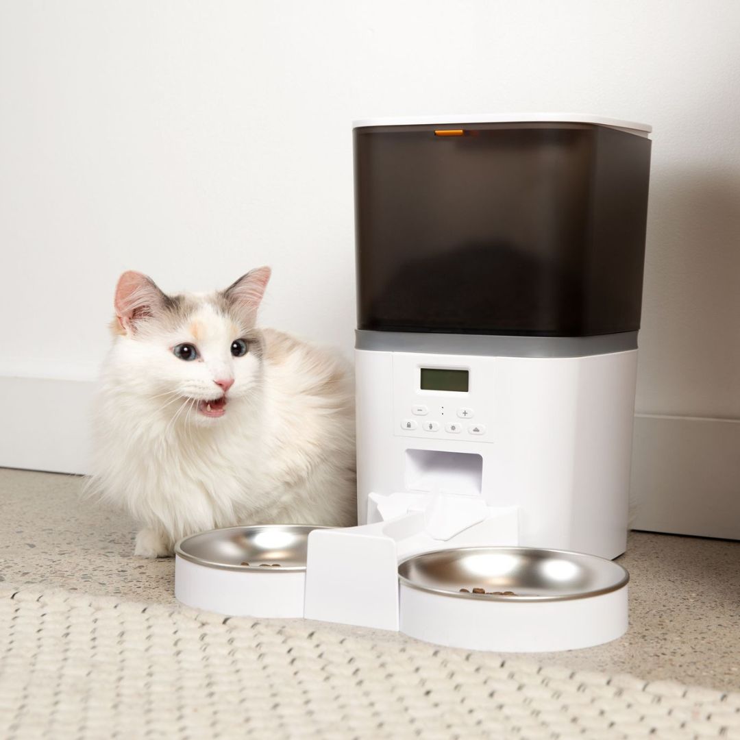 KittyFeeder™ - Comedero automático para gatos