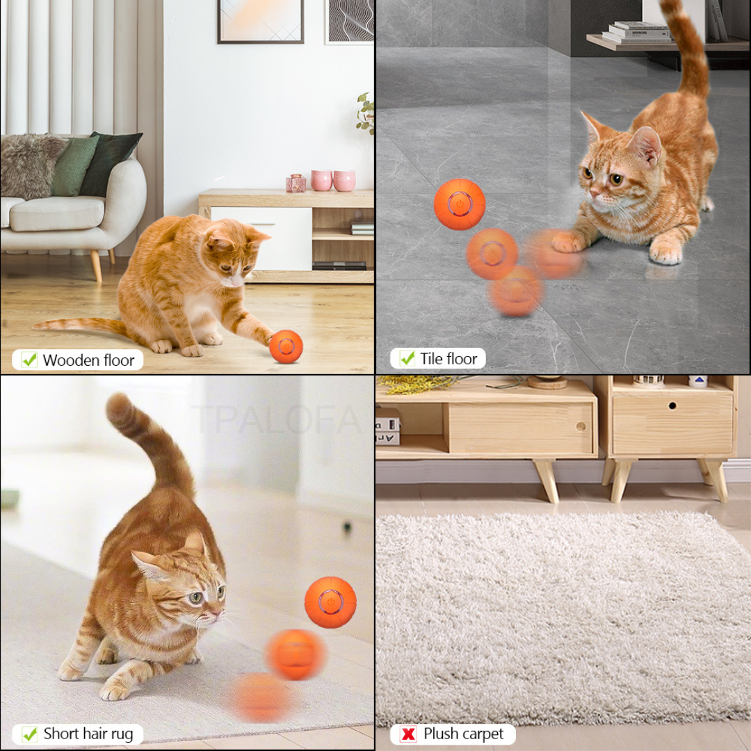 La KittyBall™: pelota inteligente para gatos