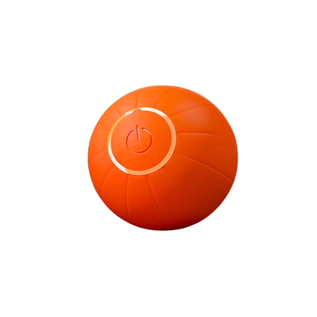 La KittyBall™: pelota inteligente para gatos