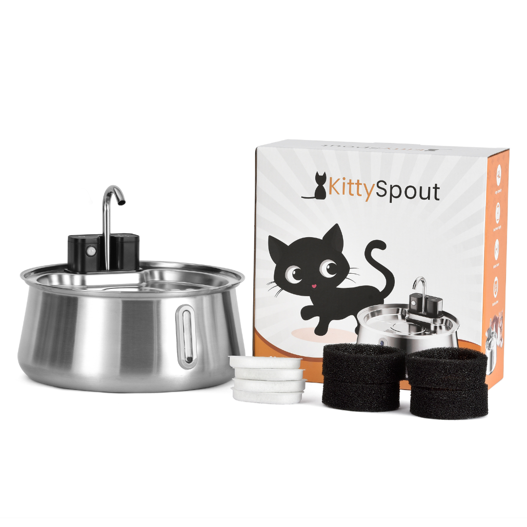 Refurbished The KittySpout - Wireless Fountain (Spout) - 4 Month: Wireless KittySpout + 8 filter sets + free gift