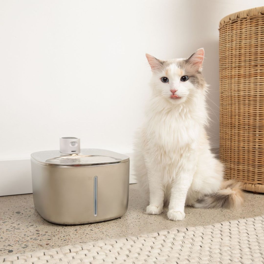 Refurbished The KittySpout - Wireless Fountain - 4 Month: Wireless KittySpout + 8 filter sets + free gift