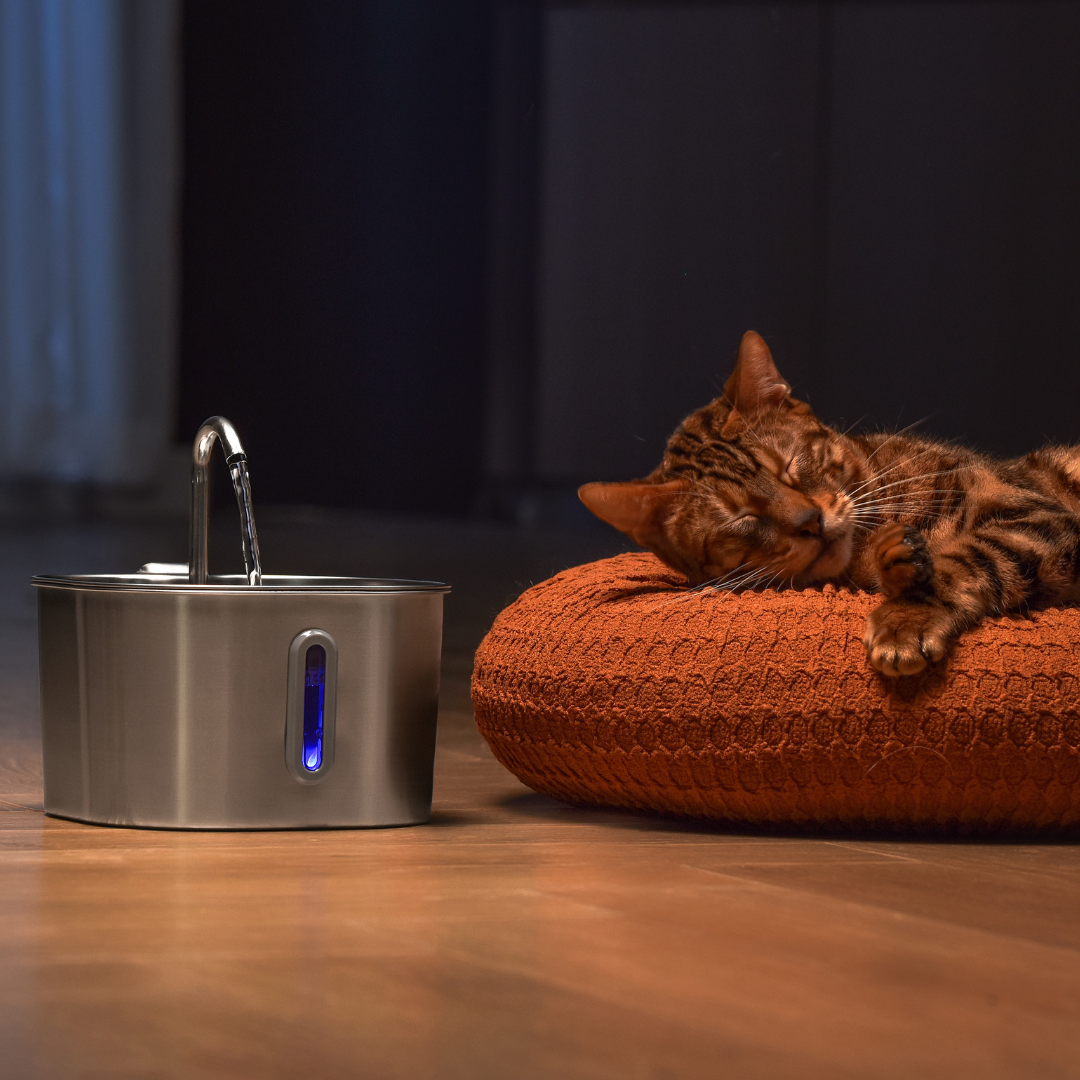 Like New The KittySpout - Health & Happiness Cat Kit (2.2L) - 4 Month: KittySpout + 8 filter sets + AC adapter + FREE gift