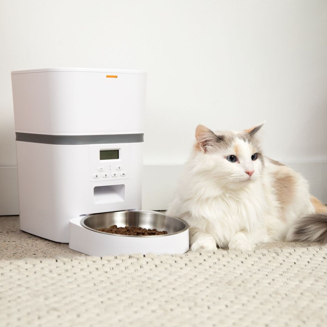 KittyFeeder™ - Comedero automático para gatos