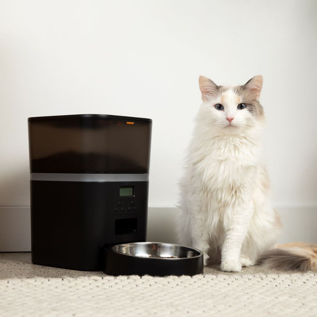 KittyFeeder™ - Comedero automático para gatos