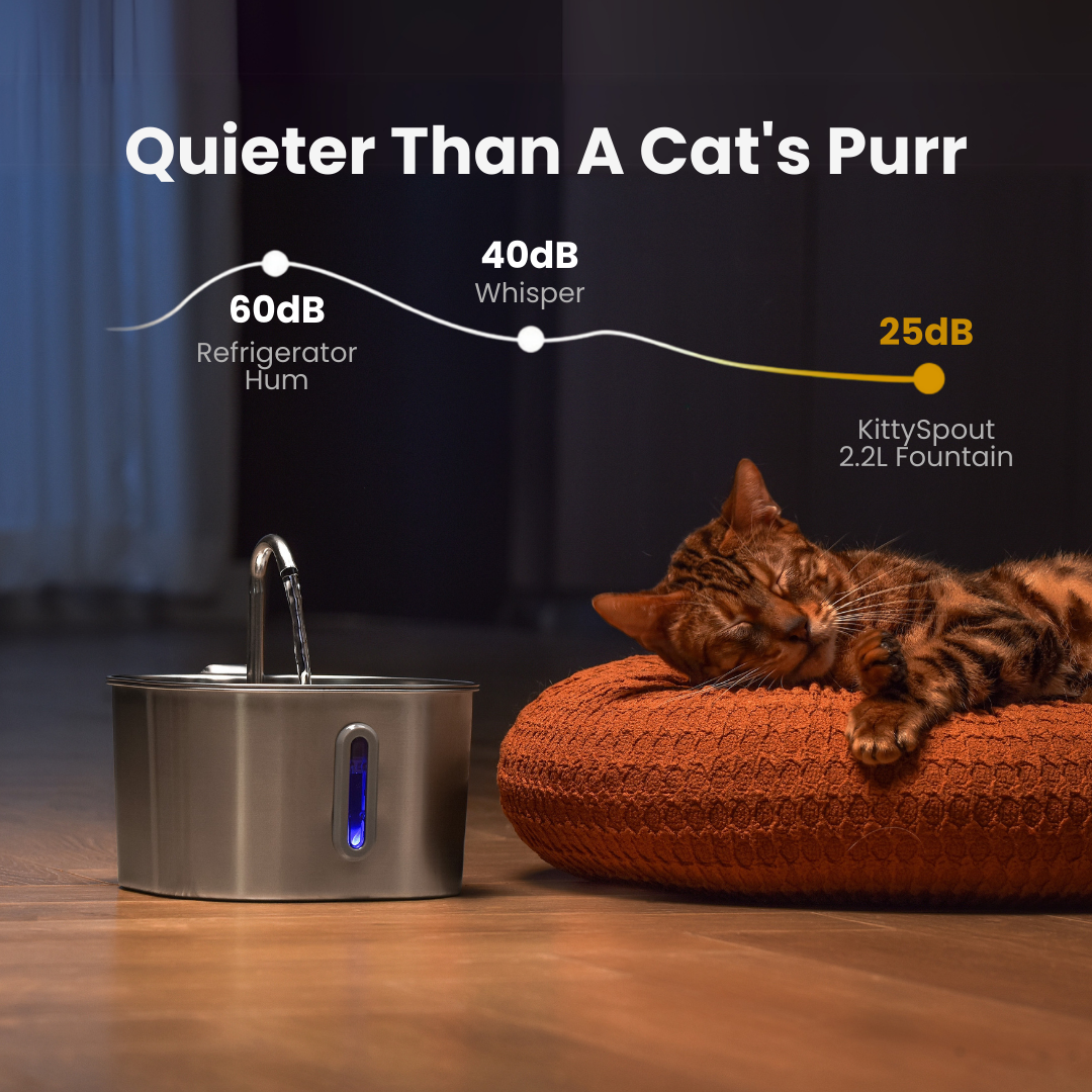 The KittySpout™ - 2.2L Fountain — <br>2–month Kit