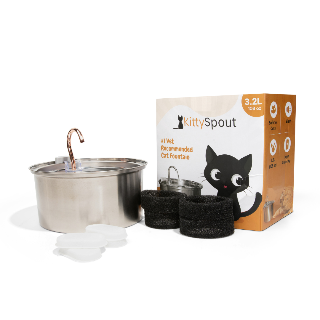 Kit de salud y felicidad para gatos The KittySpout™