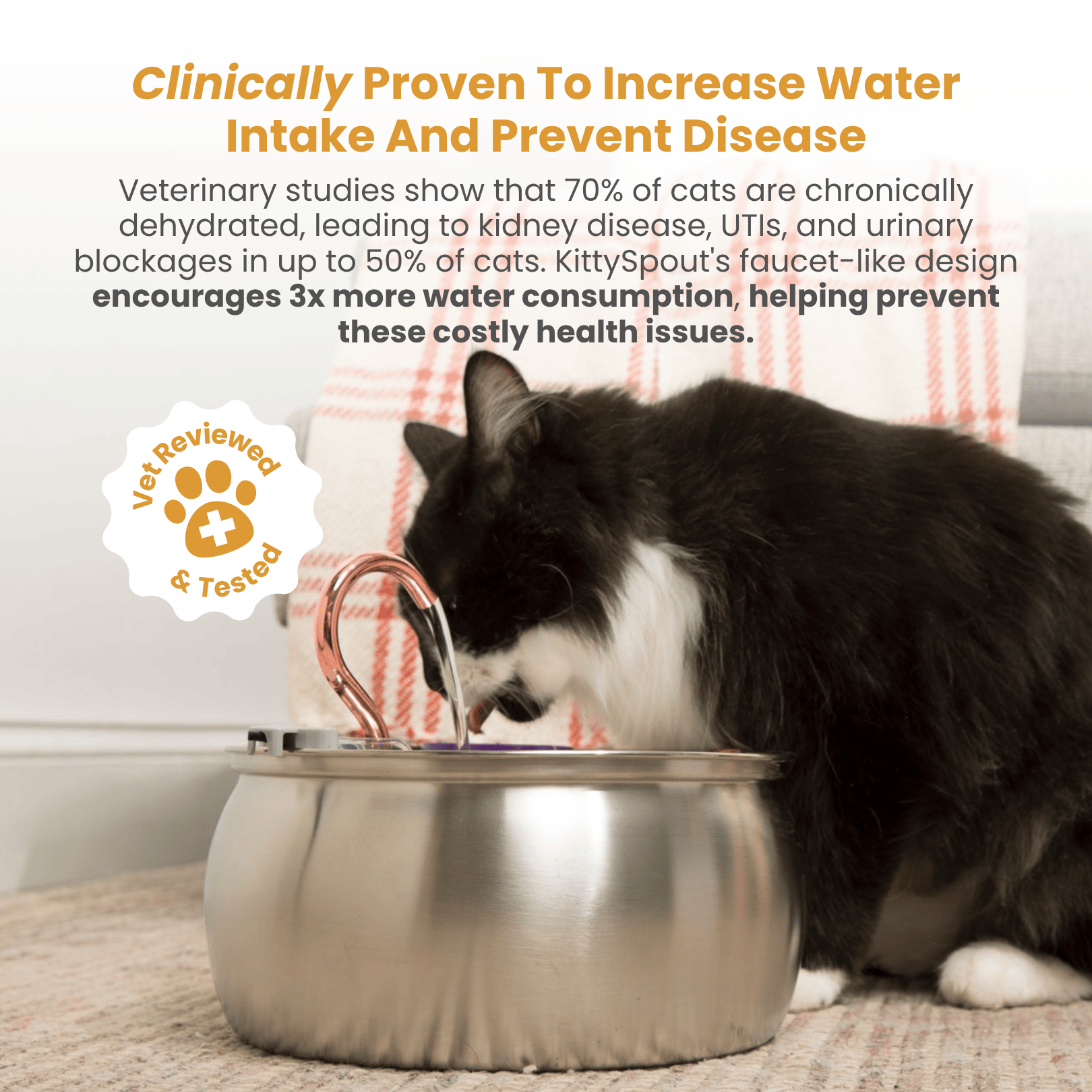 Kit de salud y felicidad para gatos The KittySpout™