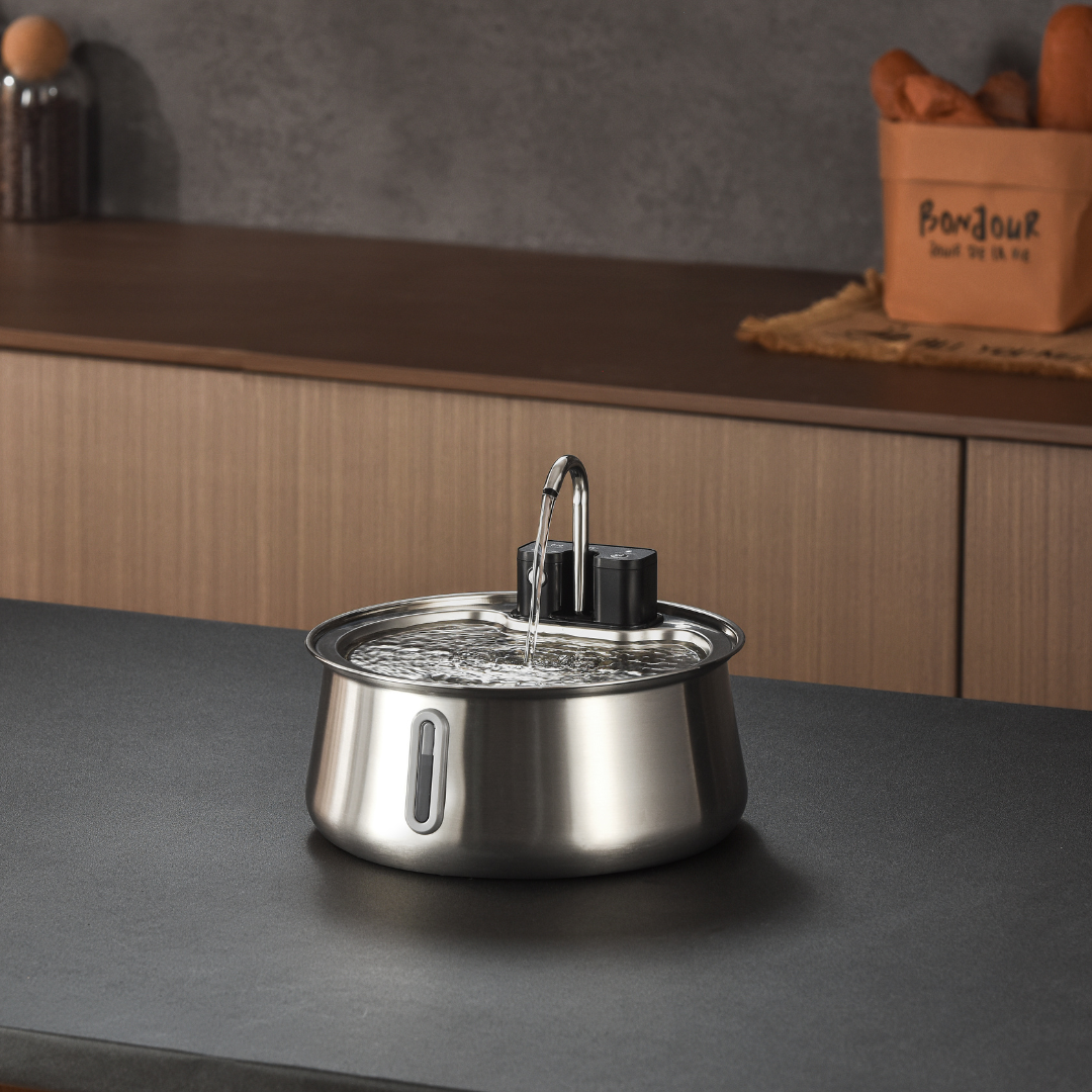 Refurbished The KittySpout - Wireless Fountain (Spout) - 4 Month: Wireless KittySpout + 8 filter sets + free gift