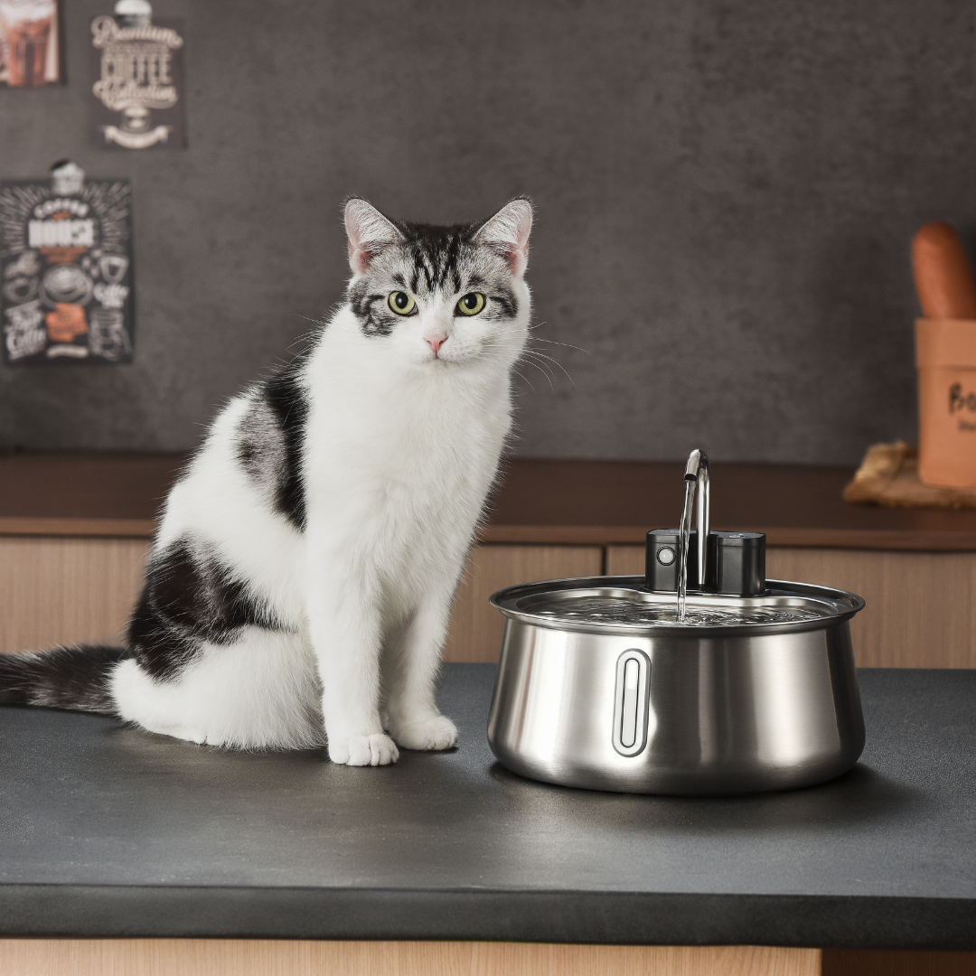 8 filtri KittySpout™ - 8 mesi di fornitura