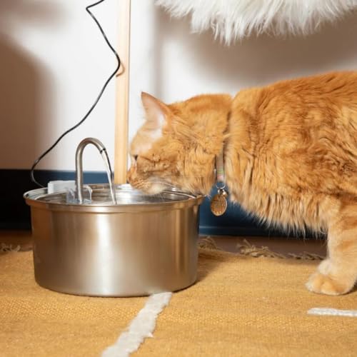 Like New KittySpout MFM0300 Stainless Steel Cat Water Fountain 3.2L/108oz - Durable, Quiet, Easy to Clean