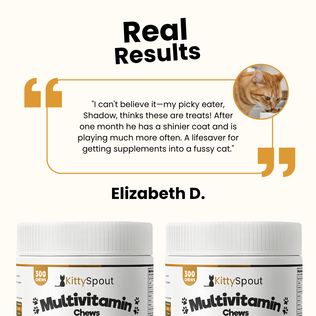 KittySpout Multivitamin Chews - 30 Day Supply