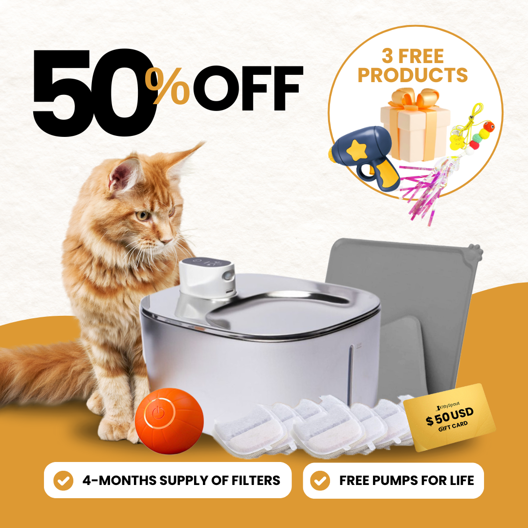 Pre-Owned Wireless Hydration & Playtime Value Bundle