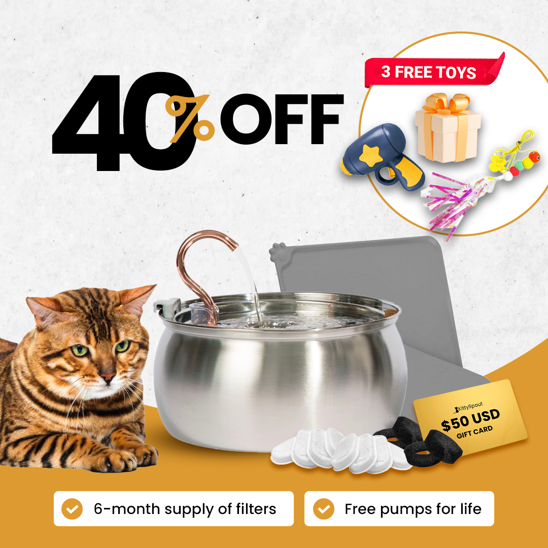 Like New KittySpout Value Bundle - 4L