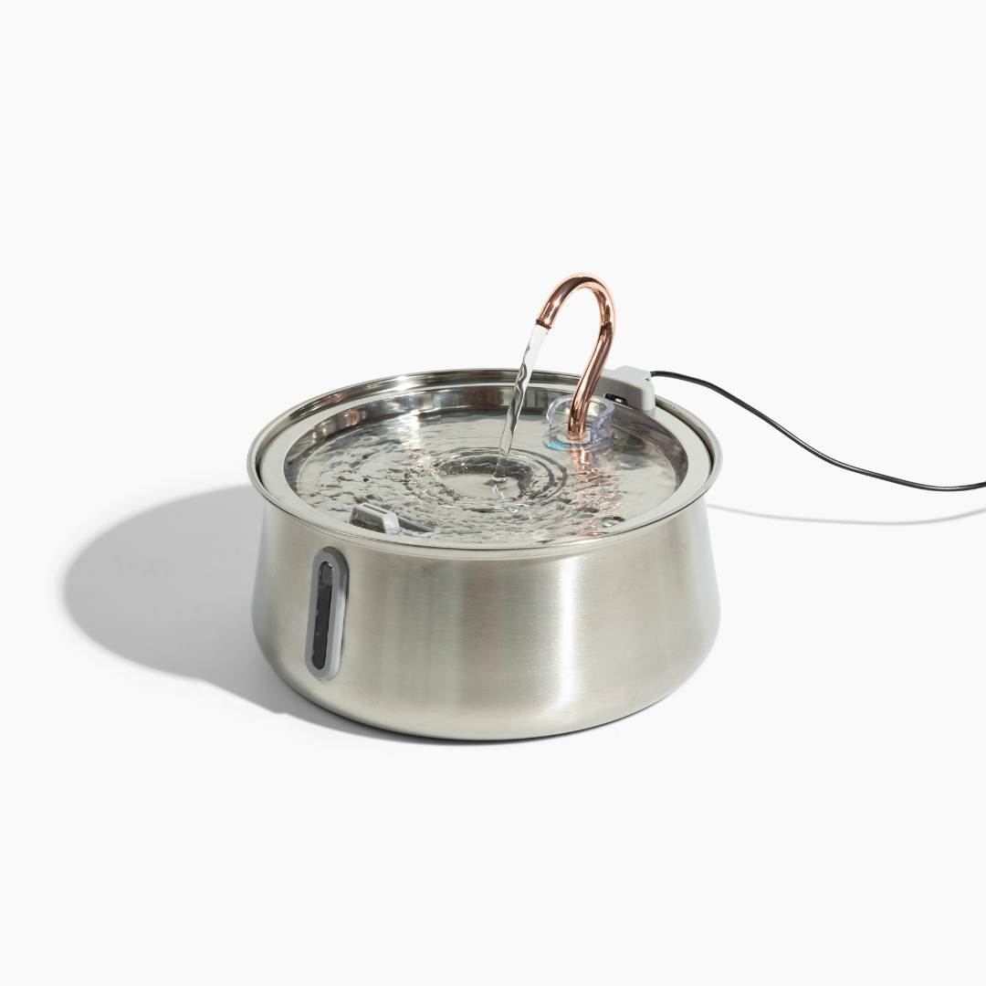 Pre-Owned The KittySpout 2.0 - Health & Happiness Cat Kit - 6 Month: KittySpout + 12 filter sets + extra pump + AC adapter + FREE gift