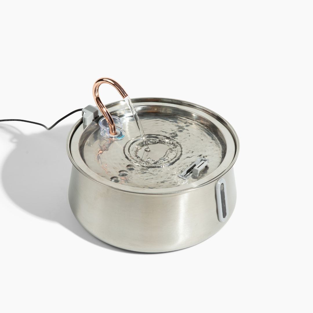 Like New The KittySpout 2.0 - Health & Happiness Cat Kit - 2 Month: KittySpout + 4 filter sets + AC adapter