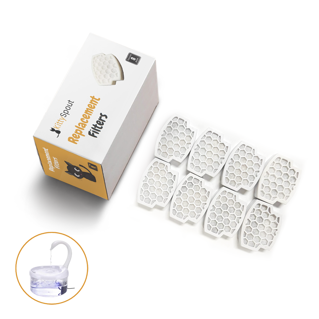 8x KittySpout™-filter - 8 månaders leverans