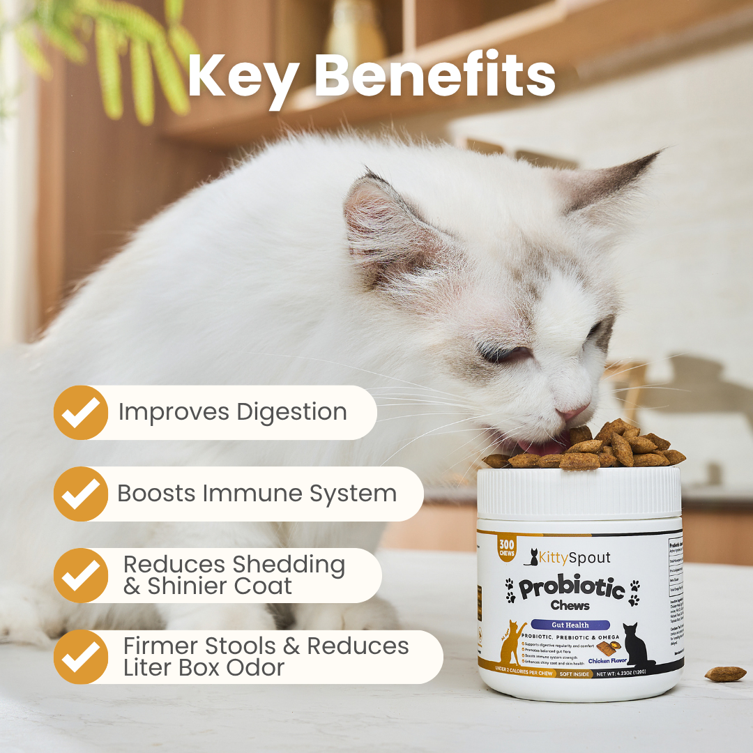 KittySpout Probiotic Chews - 30 Day Supply