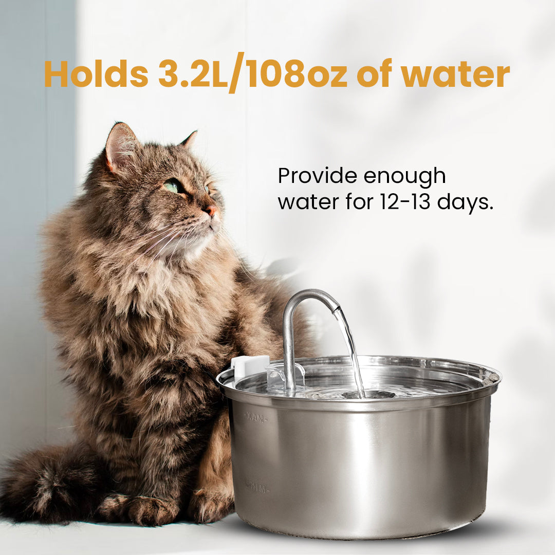 El kit Purrr-fect KittySpout
