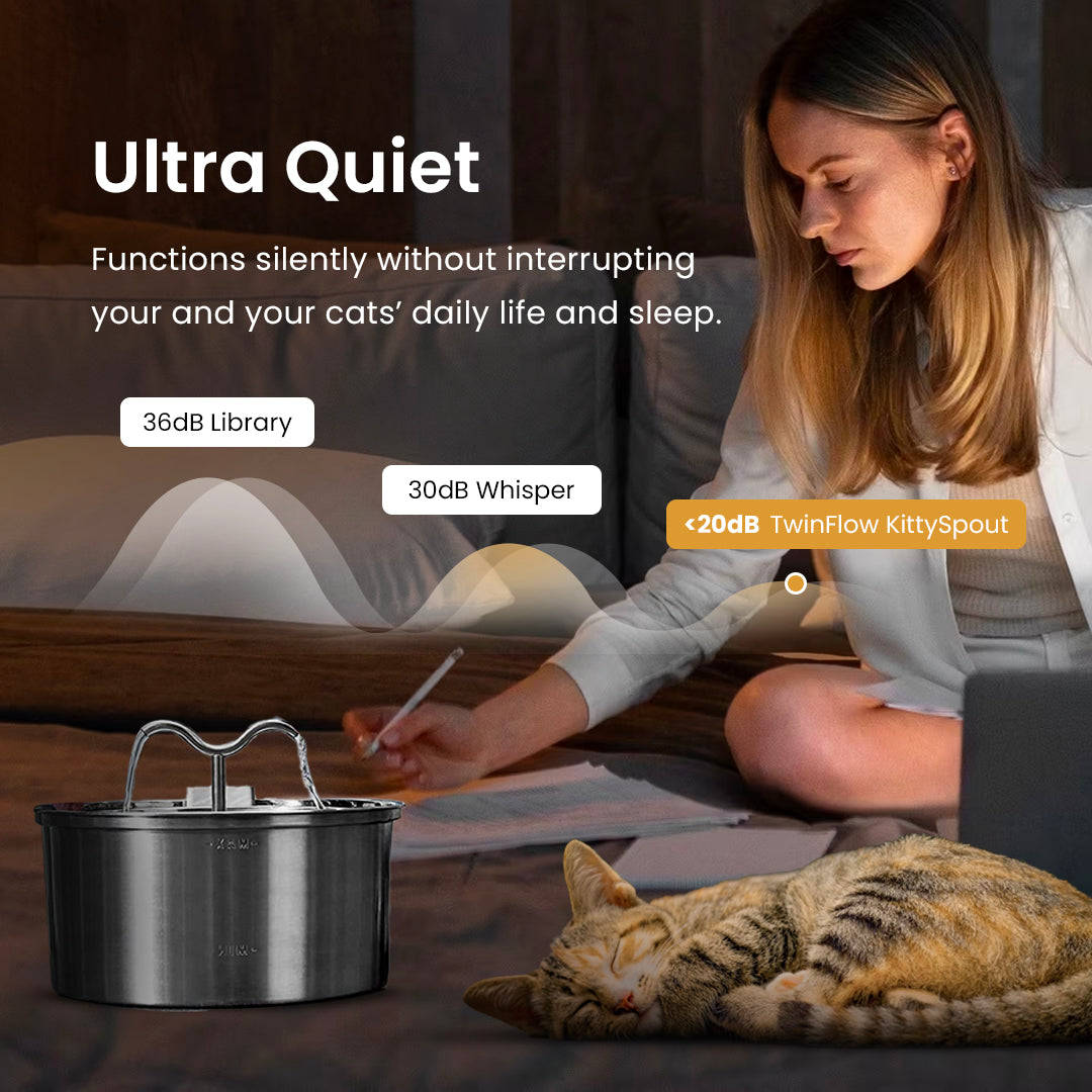 La fuente KittySpout™ - TwinFlow