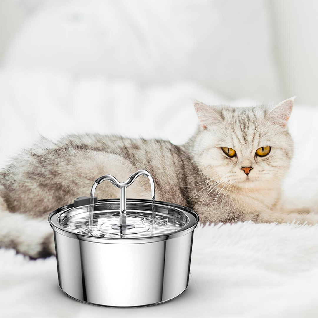 La fuente KittySpout™ - TwinFlow