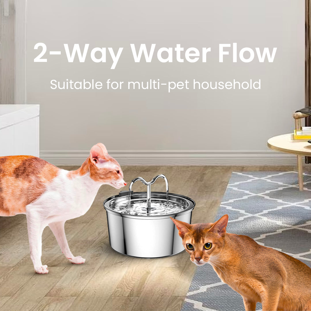 La fuente KittySpout™ - TwinFlow