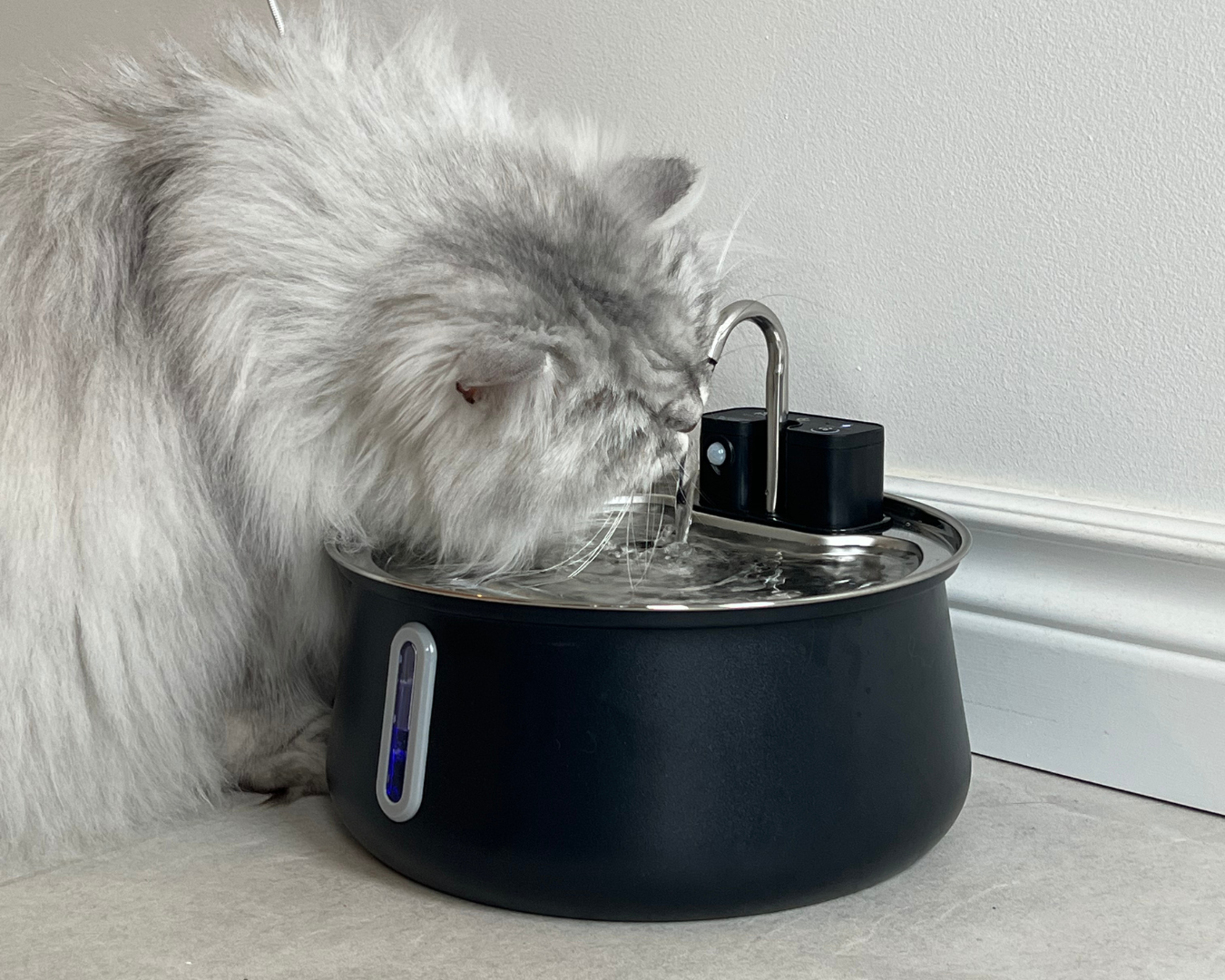 Ready to UpgradeYour Cat’s Water?