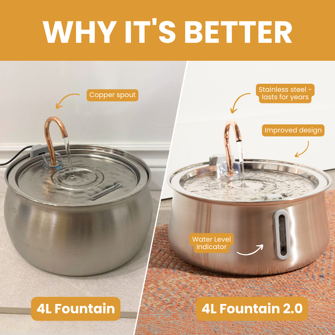 Pre-Owned The KittySpout 2.0 - Health & Happiness Cat Kit - 4 Month: KittySpout + 8 filter sets + AC adapter + FREE gift