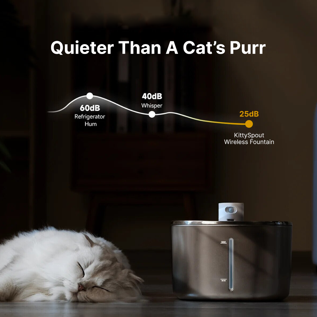 Refurbished The KittySpout - Wireless Fountain - 4 Month: Wireless KittySpout + 8 filter sets + free gift