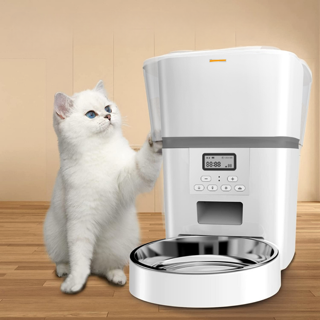 KittyFeeder™ - Comedero automático para gatos
