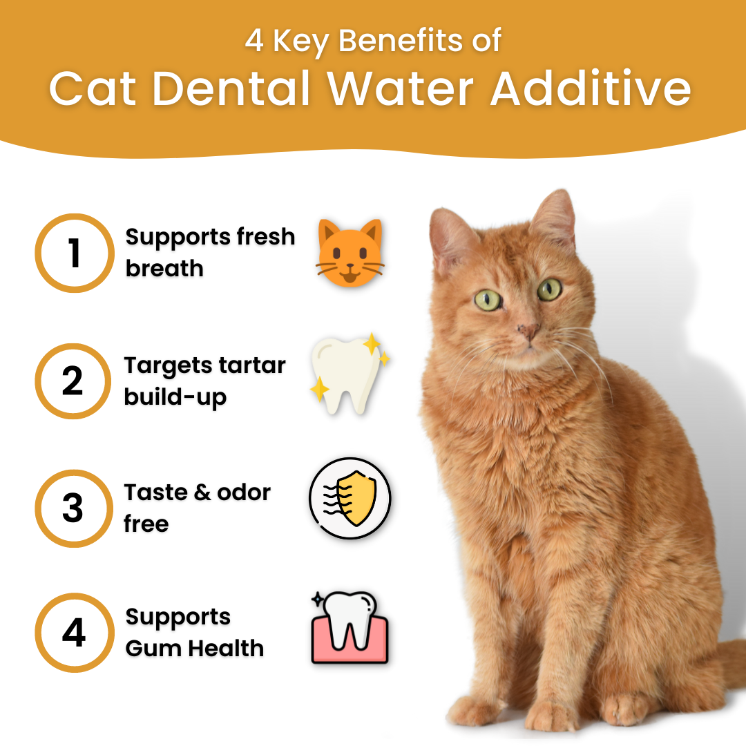 Aditivo para el agua del cuidado dental