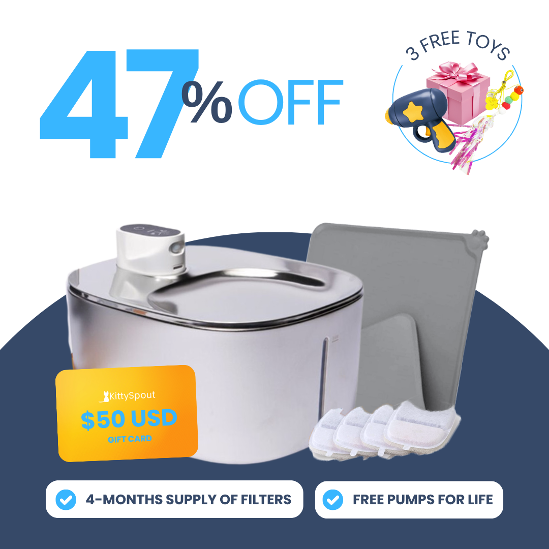 Back to School Sale - Wireless KittySpout Value Bundle