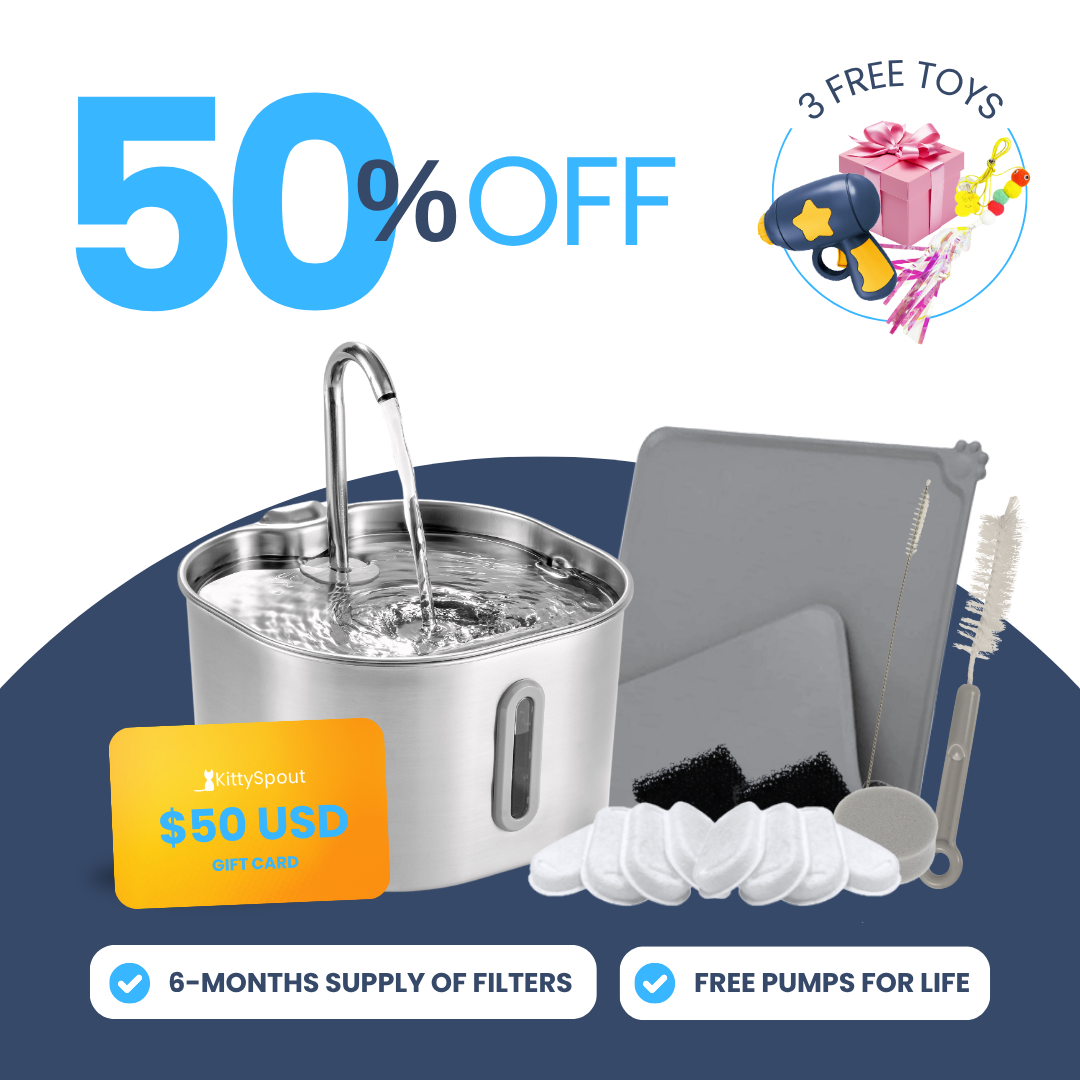 Back to School Sale - 2.2L Value Bundle