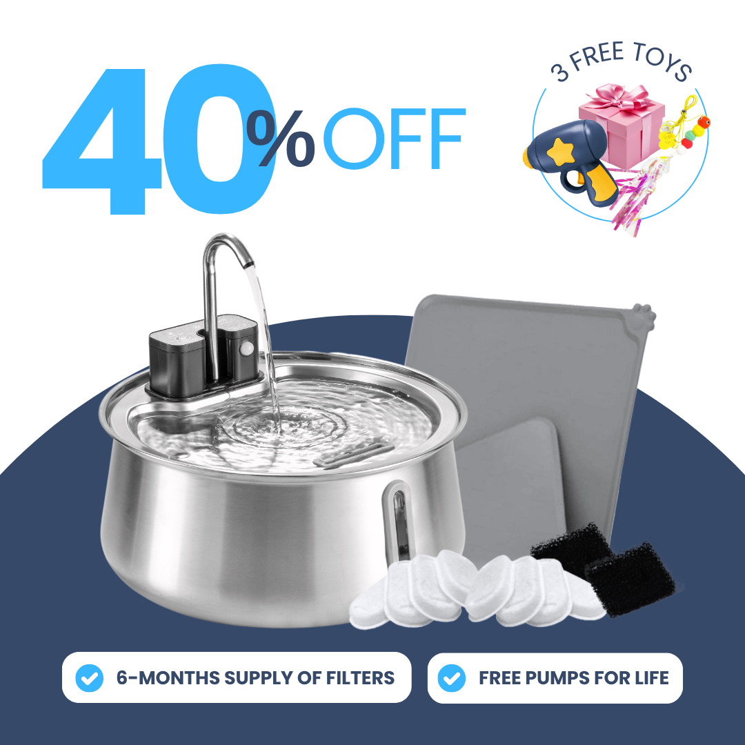 Back to School Sale - Wireless 2.0 Purrr-fect KittySpout Kit