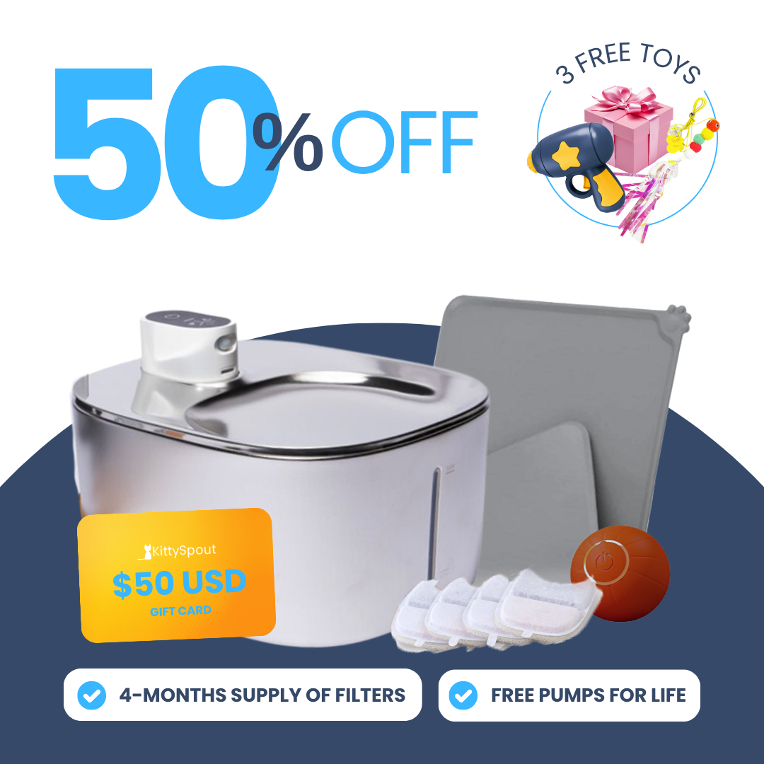Back to School Sale - Wireless Hydration and Playtime Value Bundle