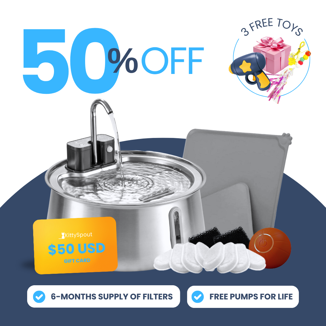 Back to School Sale - Wireless 2.0 Hydration and Playtime Value Bundle