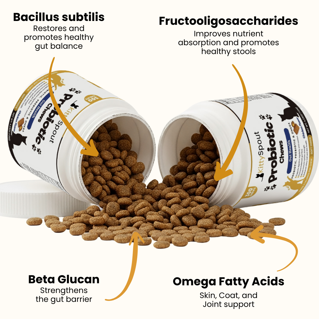 KittySpout Probiotic Chews - 30 Day Supply
