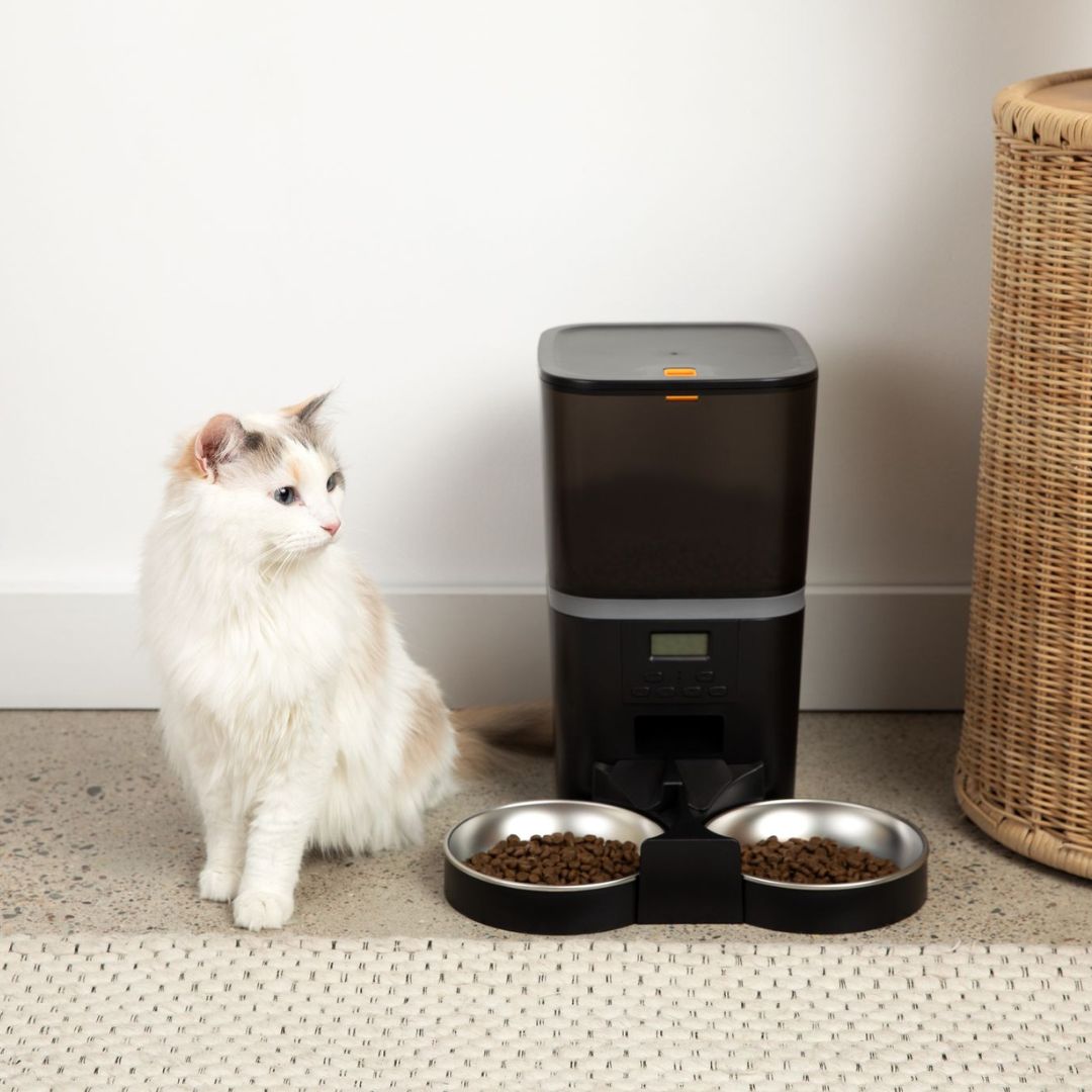 The KittyFeeder™ - Automatic Cat Feeder