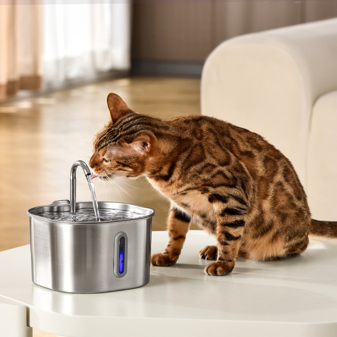 Like New The KittySpout - Health & Happiness Cat Kit (2.2L) - 4 Month: KittySpout + 8 filter sets + AC adapter + FREE gift