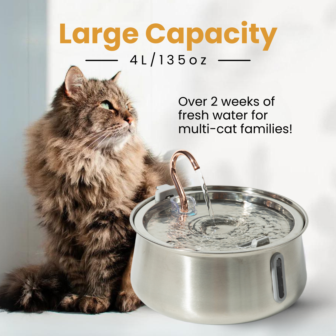 The KittySpout™ 2.0 - Health & Happiness Cat Kit