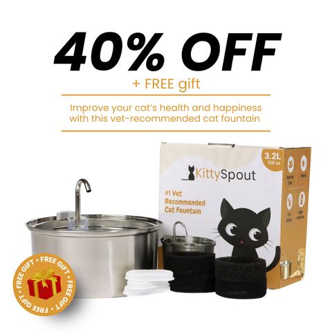 Il KittySpout™