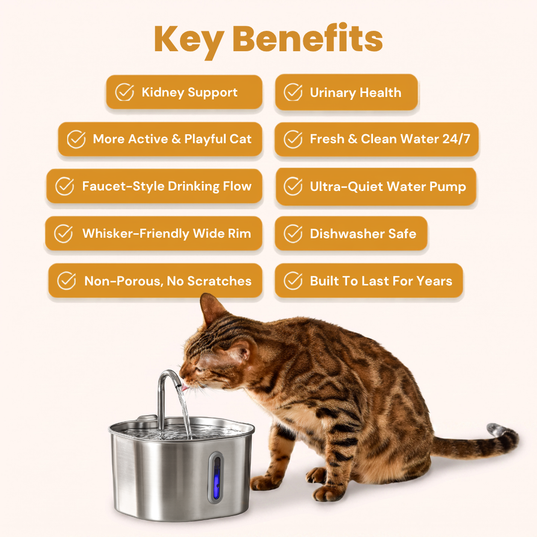 Kittyspout color collection