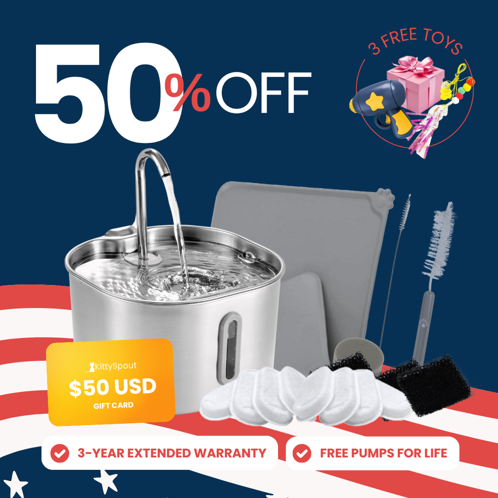 The KittySpout™ - 2.2L VIP Value Bundle