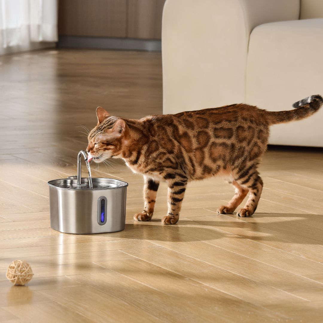 Like New The KittySpout - Health & Happiness Cat Kit (2.2L) - 4 Month: KittySpout + 8 filter sets + AC adapter + FREE gift