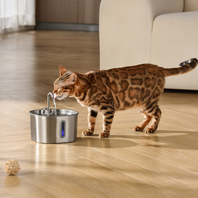 El KittySpout™ - Kit de 2 meses para la fuente de 2,2 l