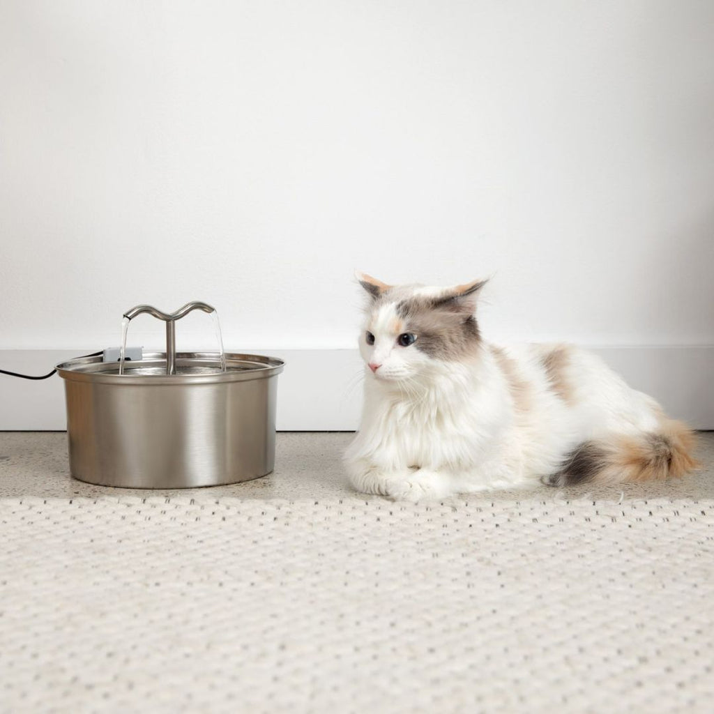 The KittySpout™ - TwinFlow Fountain