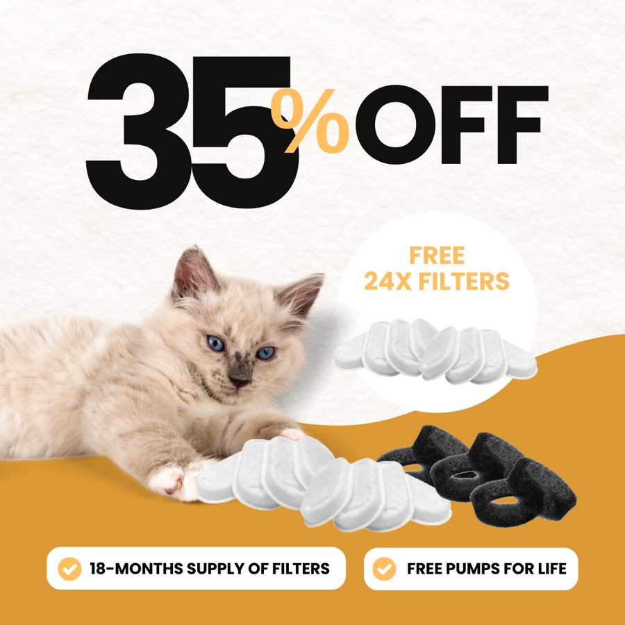 24x Filter Sets + 12x FREE