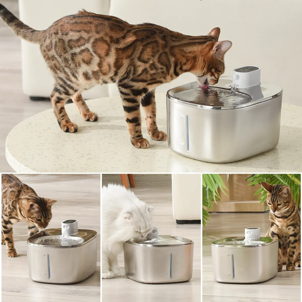 Refurbished The KittySpout - Wireless Fountain - 2 Month: Wireless KittySpout + 4 filter sets + free gift
